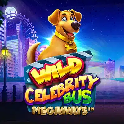 Wild Celebrity Bus